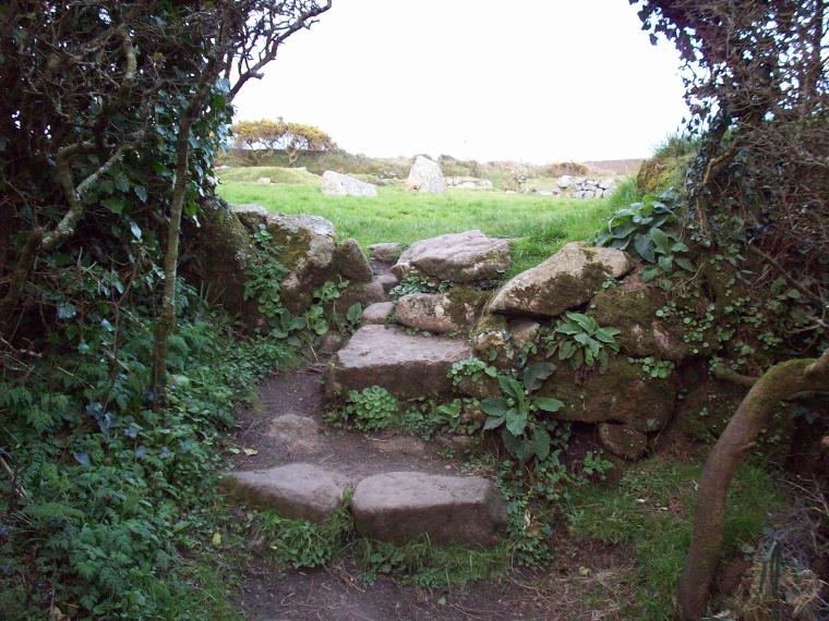 A path through the ivy, Carn Euny, England