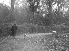 bwwalk