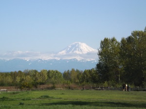 View from the dog park on a clear day