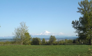 DSCF1774